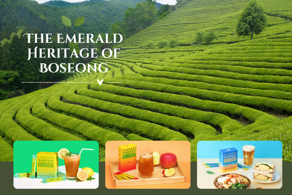 The "Green Gold" of Boseong